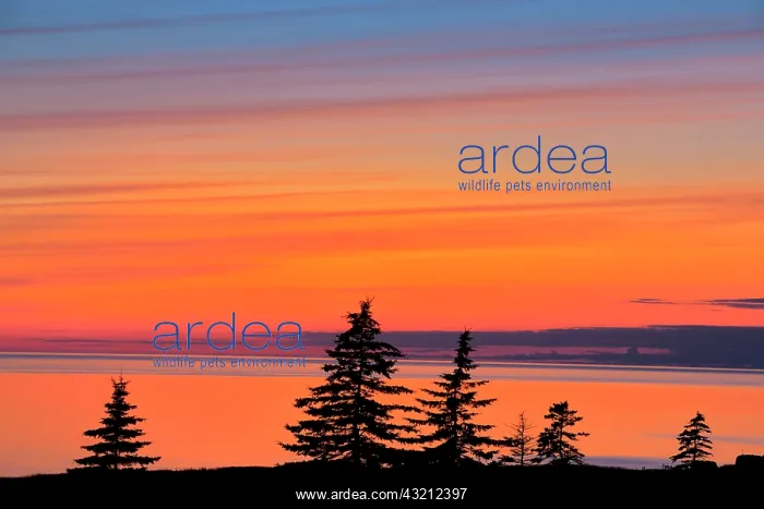 : Canada, Gulf of St. Lawrence, West Cape : Canada, Gulf of St. Lawrence, West Cape