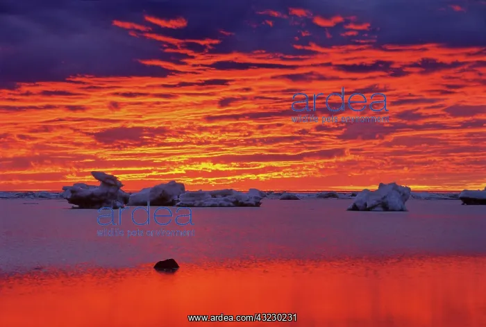 : Canada, Hudson Bay. Ice floes on water at : Canada, Hudson Bay. Ice floes on water at