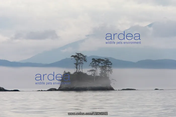 : Canada - Islands in British Colombia North East : Canada - Islands in British Colombia North East