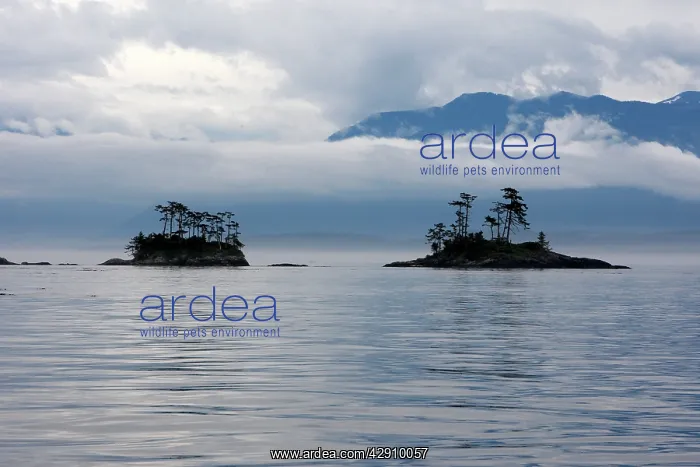 : Canada - Islands in British Colombia North East : Canada - Islands in British Colombia North East