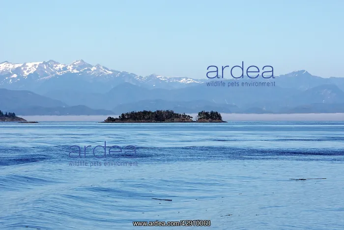 : Canada - Islands in British Colombia North East : Canada - Islands in British Colombia North East