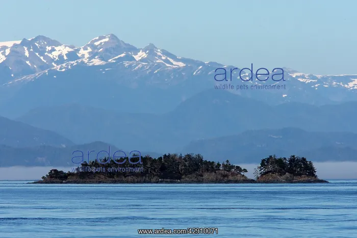 : Canada - Islands in British Colombia North East : Canada - Islands in British Colombia North East