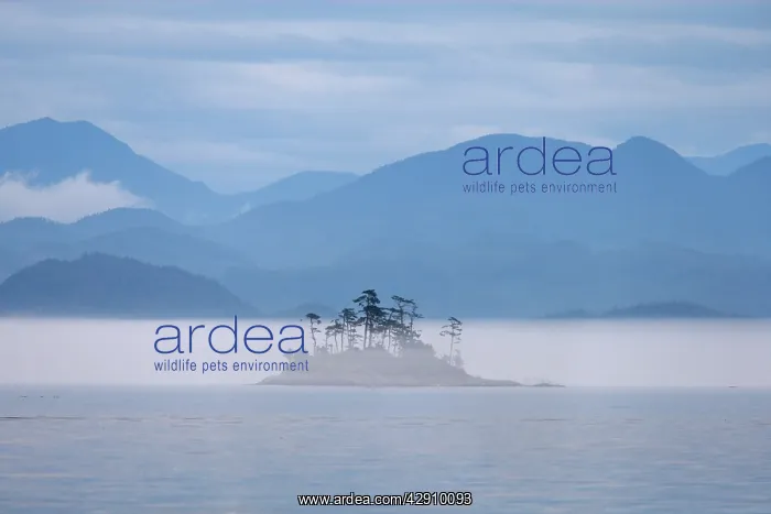 : Canada - Islands in British Colombia North East : Canada - Islands in British Colombia North East