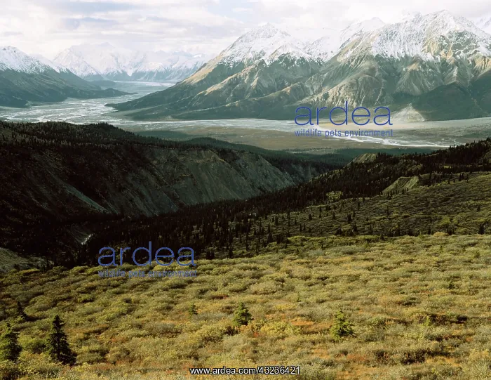  : Canada, Kluane National Park, Yukon Territory