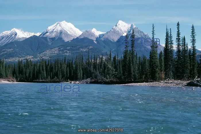 : CANADA - Kootenay National Park, Mitchell Range : CANADA - Kootenay National Park, Mitchell Range