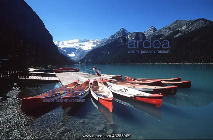 : CANADA - Lake Louise & Kayaks : CANADA - Lake Louise & Kayaks