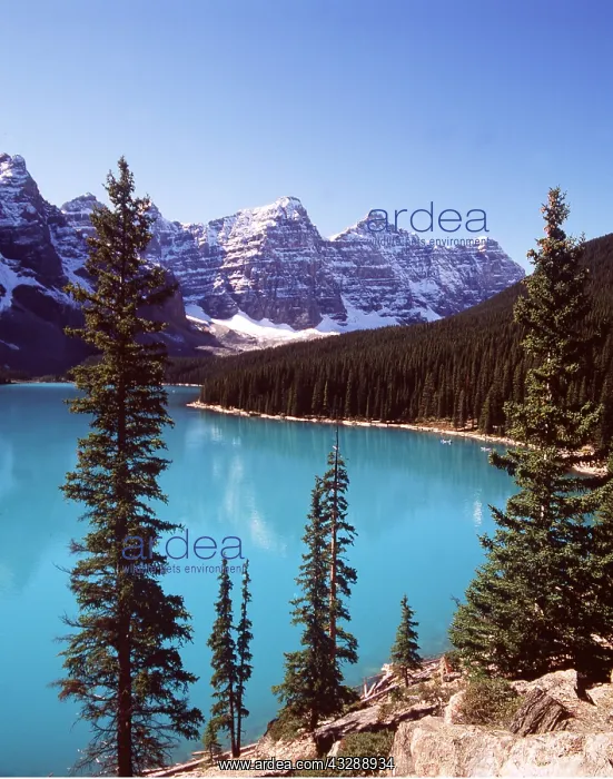 : CANADA - Lake Moraine : CANADA - Lake Moraine