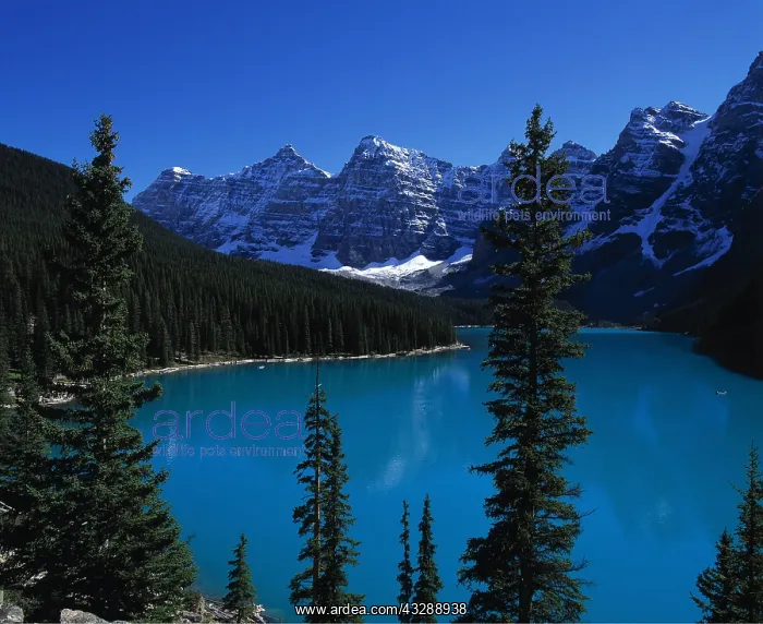 : CANADA - Lake Moraine : CANADA - Lake Moraine