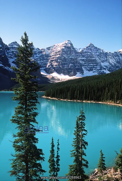 : CANADA - Lake Moraine : CANADA - Lake Moraine