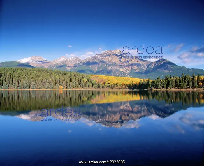 : CANADA - Lake Patricia & Mount Pyramid : CANADA - Lake Patricia & Mount Pyramid