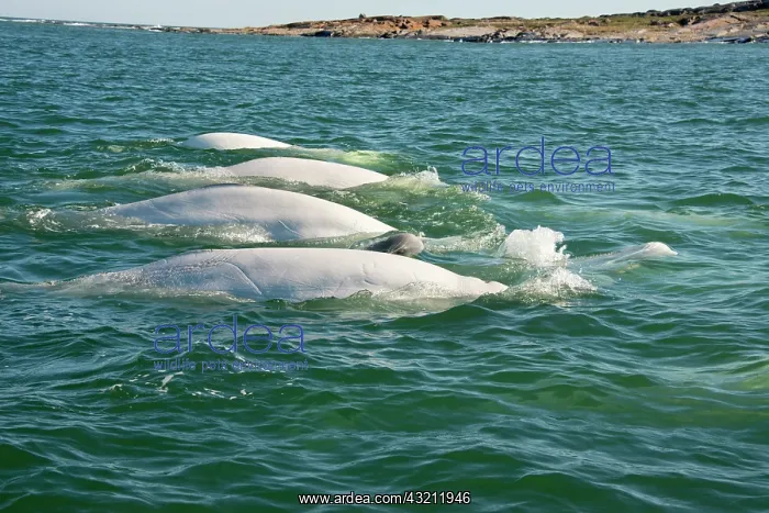 : Canada, Manitoba, Churchill. Churchill River : Canada, Manitoba, Churchill. Churchill River