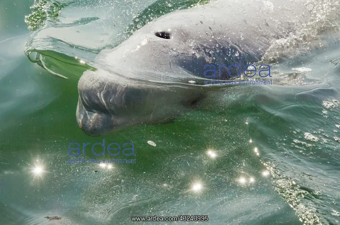 : Canada, Manitoba, Churchill. Churchill River : Canada, Manitoba, Churchill. Churchill River