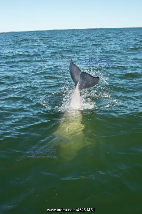 : Canada, Manitoba, Churchill. Churchill River : Canada, Manitoba, Churchill. Churchill River