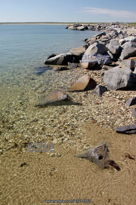 : Canada, Manitoba, Churchill, Parks Canada : Canada, Manitoba, Churchill, Parks Canada