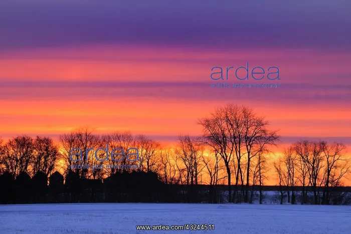 : Canada, Manitoba, Dauphin. Farmstead at : Canada, Manitoba, Dauphin. Farmstead at