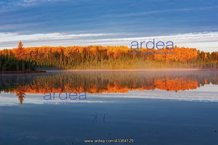 : Canada, Manitoba, Duck Mountain Provincial Park : Canada, Manitoba, Duck Mountain Provincial Park