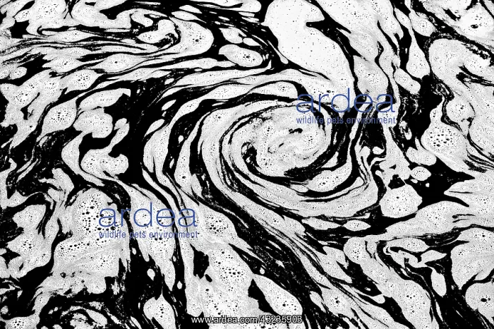 : Canada, Manitoba. Foam patterns in water : Canada, Manitoba. Foam patterns in water