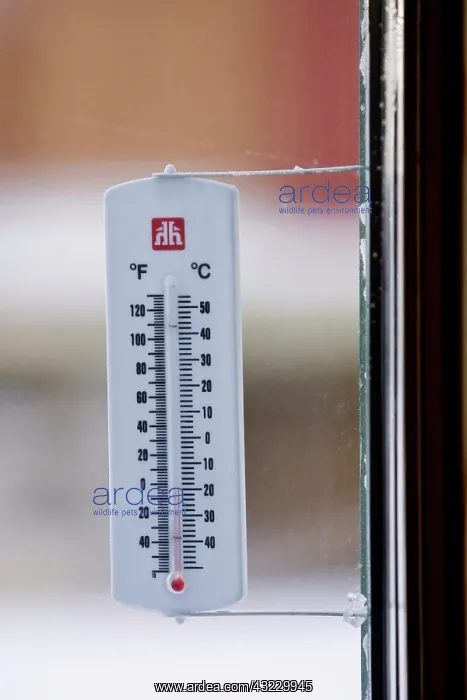 : Canada, Manitoba, Hudson Bay. Outdoor thermometer : Canada, Manitoba, Hudson Bay. Outdoor thermometer