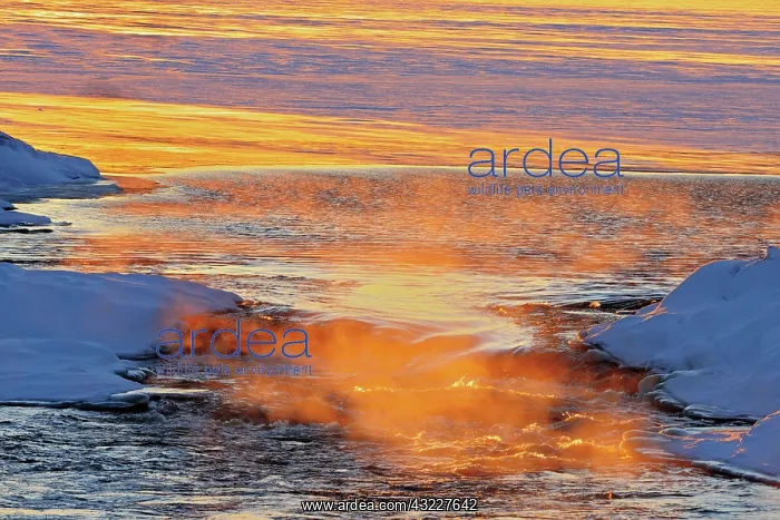 : Canada, Manitoba. Mist rising off water : Canada, Manitoba. Mist rising off water