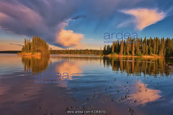  : Canada, Manitoba, Paint Lake Provincial Park. Island