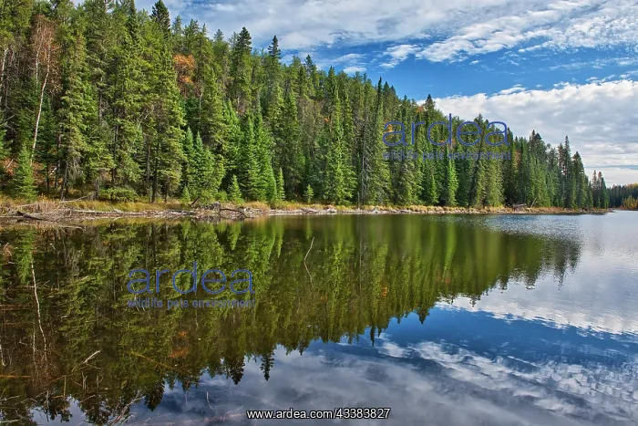 : Canada, Manitoba. Prieston Lake Duck Mountain Provincial : Canada, Manitoba. Prieston Lake Duck Mountain Provincial