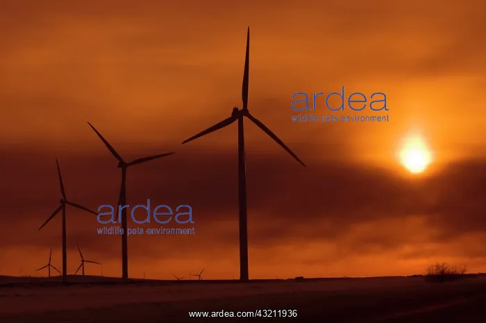 : Canada, Manitoba, Somerset. Wind turbines : Canada, Manitoba, Somerset. Wind turbines