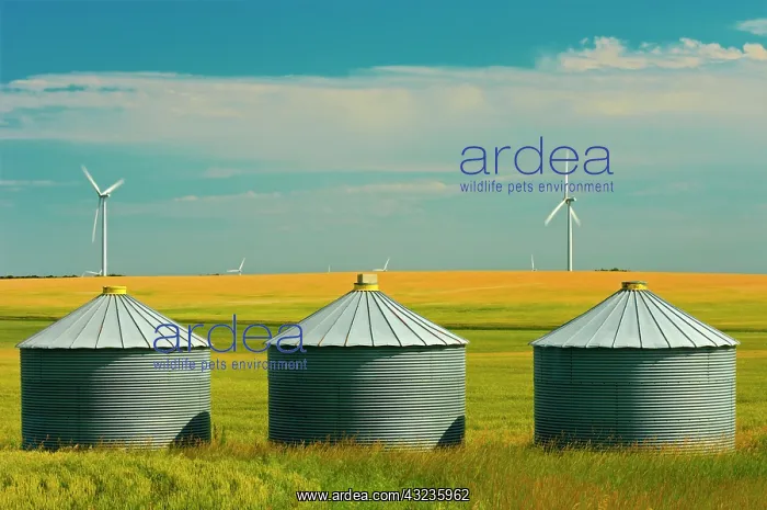 : Canada, Manitoba, Somerset. Wind turbines : Canada, Manitoba, Somerset. Wind turbines