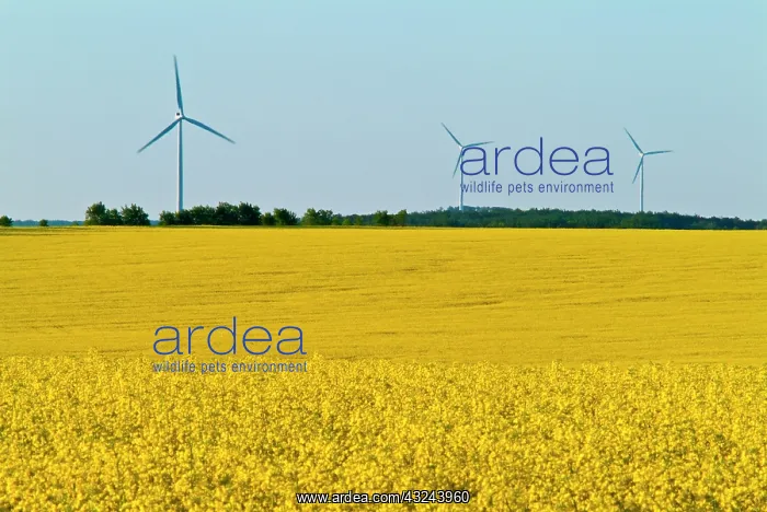 : Canada, Manitoba, Somerset. Wind turbines : Canada, Manitoba, Somerset. Wind turbines