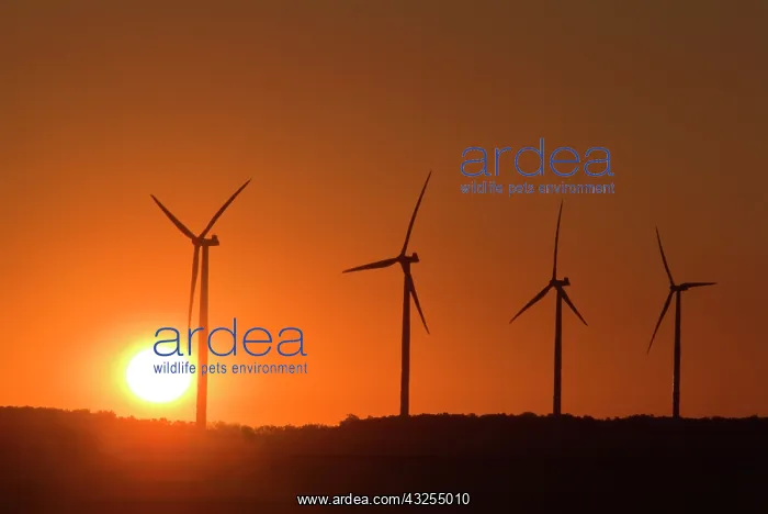 : Canada, Manitoba, Somerset. Wind turbines : Canada, Manitoba, Somerset. Wind turbines