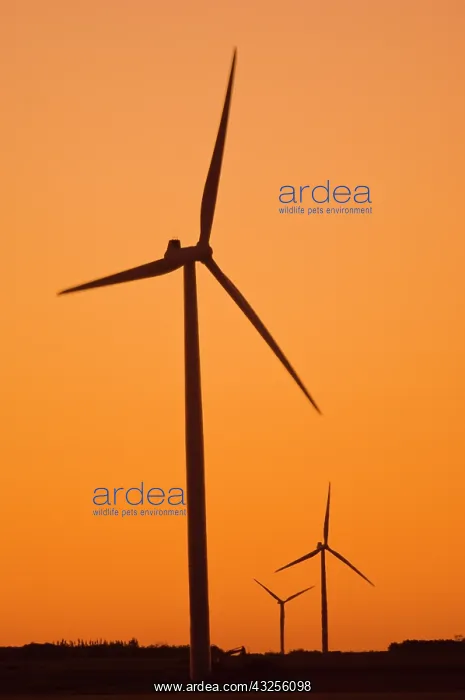 : Canada, Manitoba, Somerset. Wind turbines : Canada, Manitoba, Somerset. Wind turbines