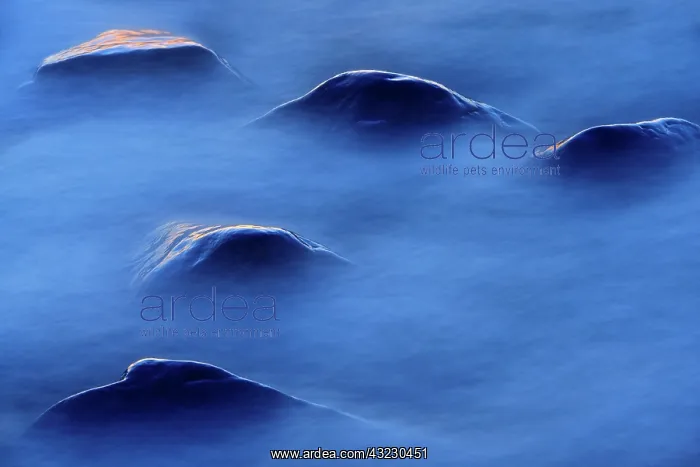 : Canada, Manitoba. Sunset on rocks protruding : Canada, Manitoba. Sunset on rocks protruding
