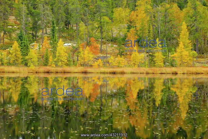 : Canada, Manitoba, Whiteshell Provincial : Canada, Manitoba, Whiteshell Provincial