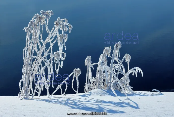  : Canada, Manitoba, Whiteshell Provincial