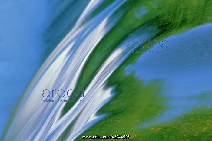 : Canada, Manitoba, Whiteshell Provincial : Canada, Manitoba, Whiteshell Provincial