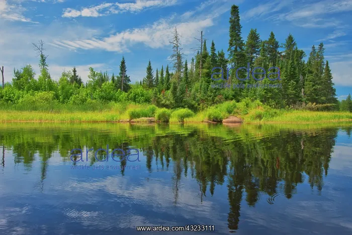 : Canada, Manitoba, Whiteshell Provincial Park. River : Canada, Manitoba, Whiteshell Provincial Park. River