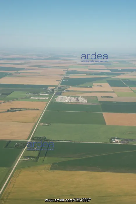 : Canada, Manitoba, Winnipeg. Aerial view : Canada, Manitoba, Winnipeg. Aerial view