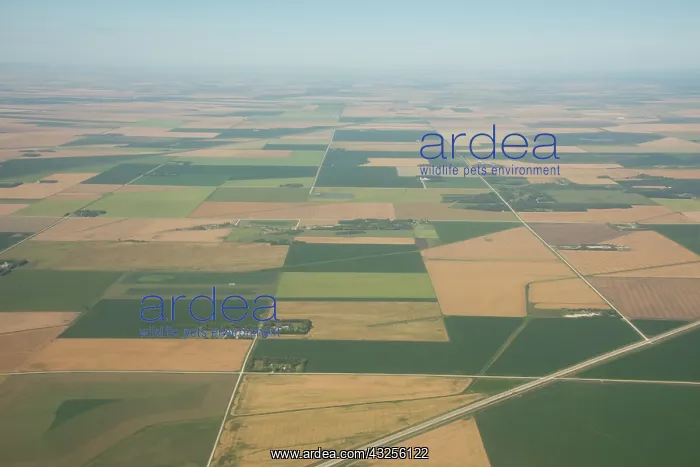 : Canada, Manitoba, Winnipeg. Aerial view : Canada, Manitoba, Winnipeg. Aerial view