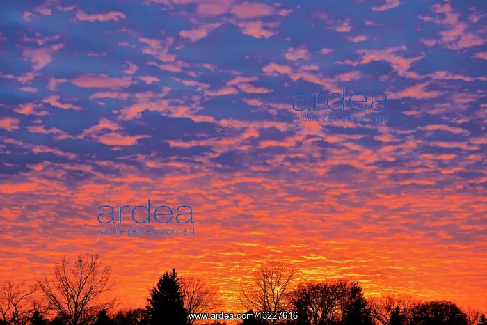 : Canada, Manitoba, Winnipeg. Clouds at sunset : Canada, Manitoba, Winnipeg. Clouds at sunset
