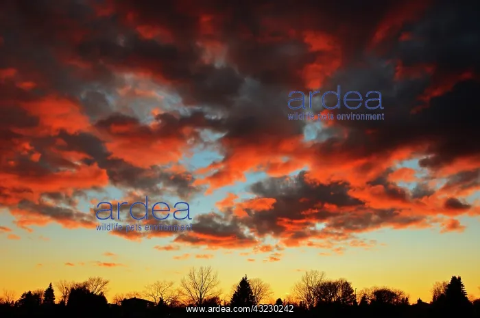 : Canada, Manitoba, Winnipeg. Clouds at sunset : Canada, Manitoba, Winnipeg. Clouds at sunset