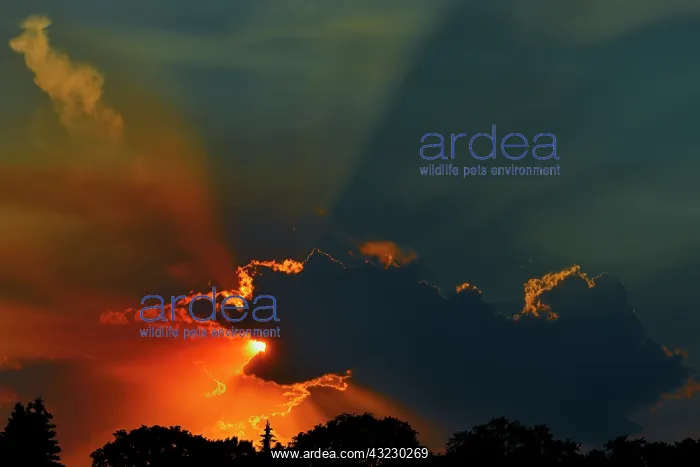 : Canada, Manitoba, Winnipeg. Crepuscular : Canada, Manitoba, Winnipeg. Crepuscular