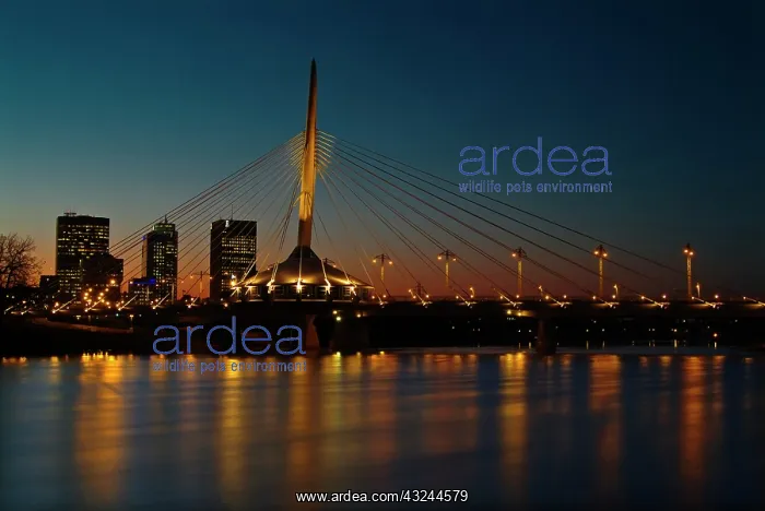 : Canada, Manitoba, Winnipeg. Esplanade Riel : Canada, Manitoba, Winnipeg. Esplanade Riel