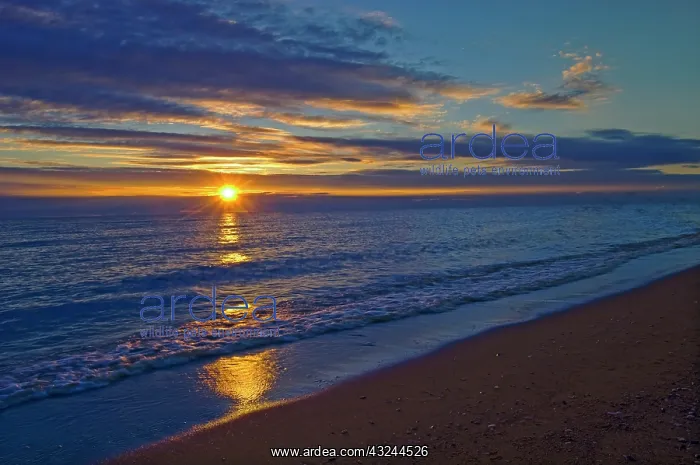 : Canada, Manitoba, Winnipeg. Sunrise on Lake : Canada, Manitoba, Winnipeg. Sunrise on Lake