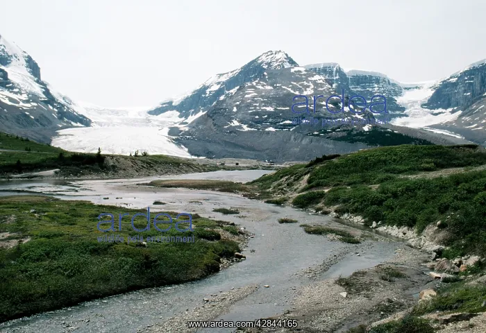 : Canada - Meltwater from Athabasca Glacier : Canada - Meltwater from Athabasca Glacier