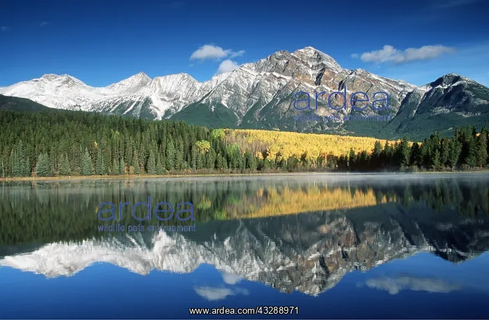 : CANADA - Mount Pyramid and lake Patricia : CANADA - Mount Pyramid and lake Patricia