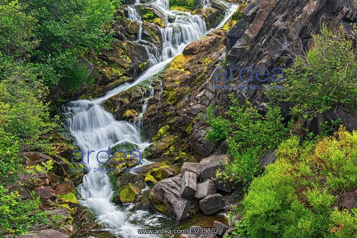 : Canada, New Brunswick. River waterfall and rocky rapids : Canada, New Brunswick. River waterfall and rocky rapids