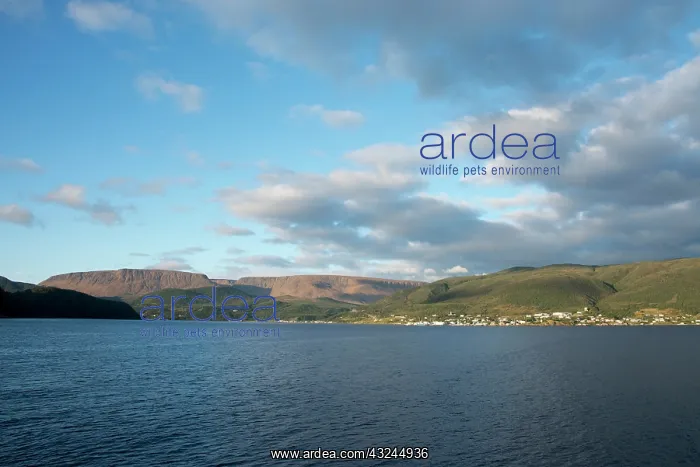 : Canada, Newfoundland, Bonne Bay. Gros Morne : Canada, Newfoundland, Bonne Bay. Gros Morne