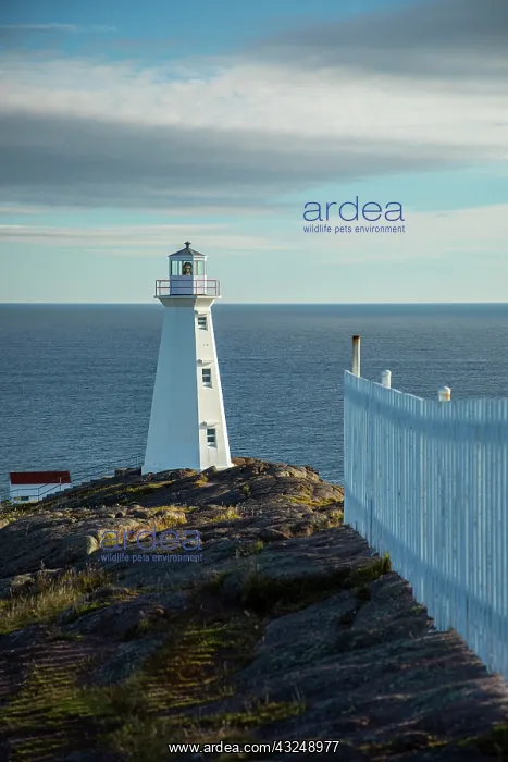 : Canada, Newfoundland, Cape Spear Lighthouse : Canada, Newfoundland, Cape Spear Lighthouse