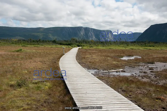  : Canada, Newfoundland, Gros Morne National