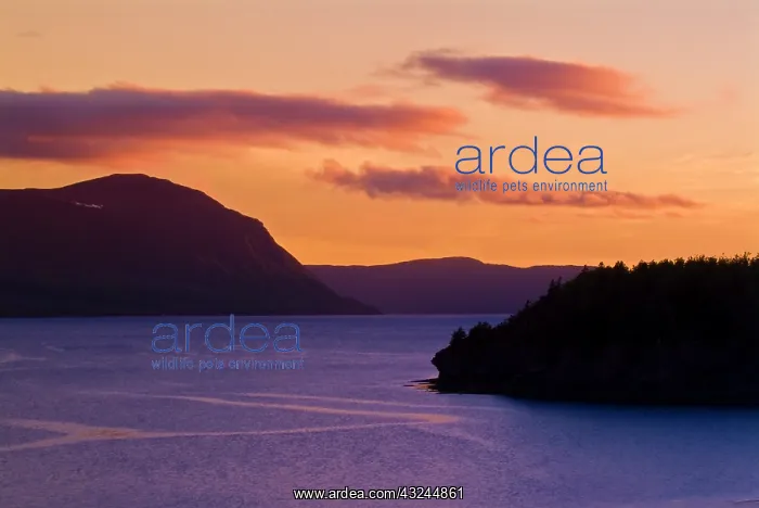 : Canada, Newfoundland, Gulf of St. Lawrence : Canada, Newfoundland, Gulf of St. Lawrence