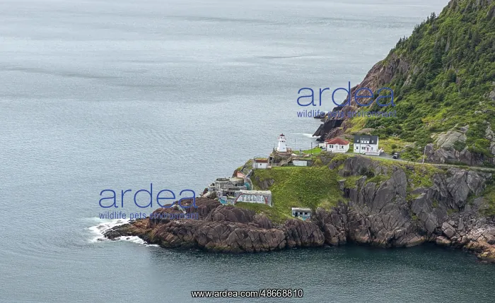 : Canada, Newfoundland and Labrador. Fort Amherst at entrance : Canada, Newfoundland and Labrador. Fort Amherst at entrance